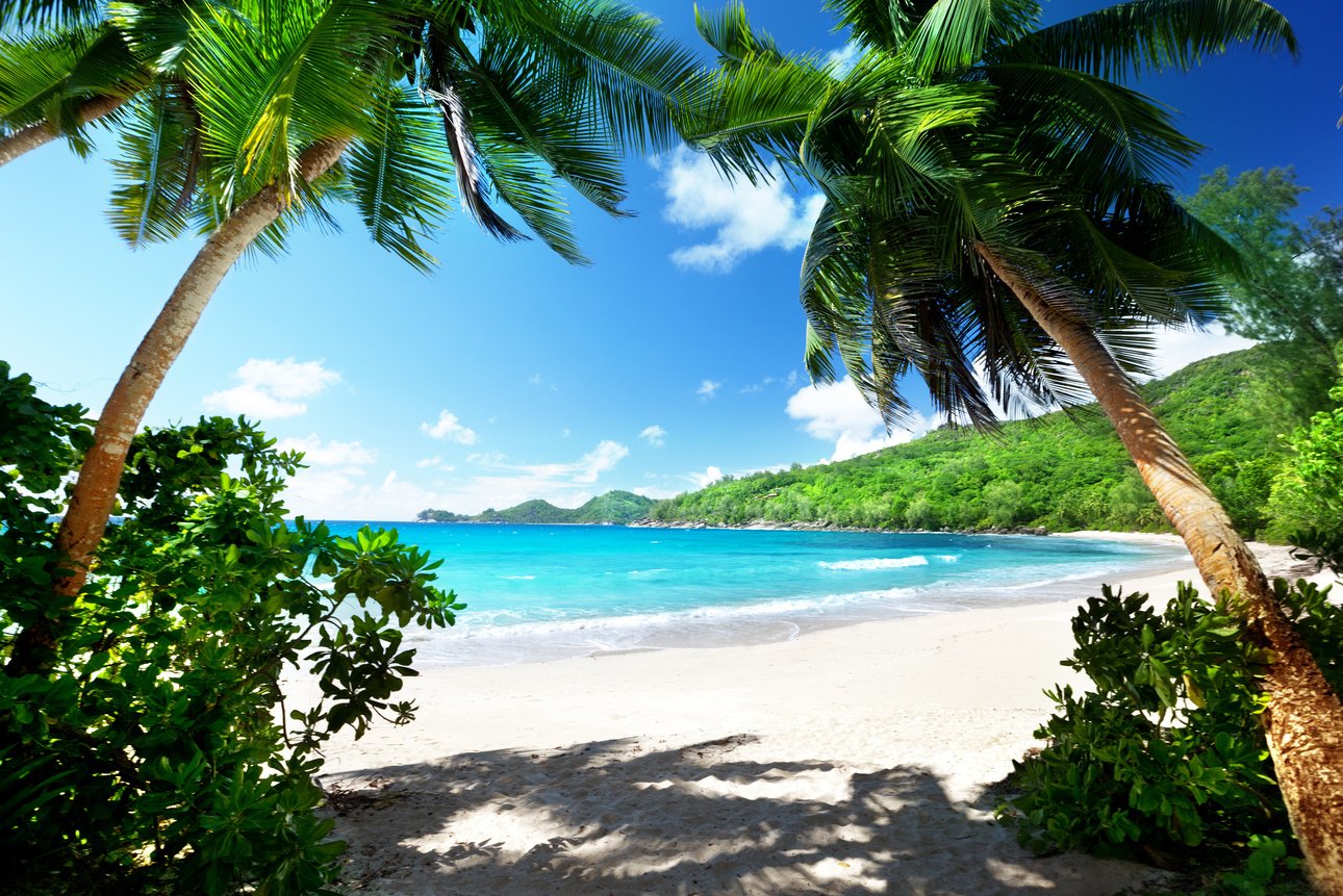 beach, Mahe island, Seychelles