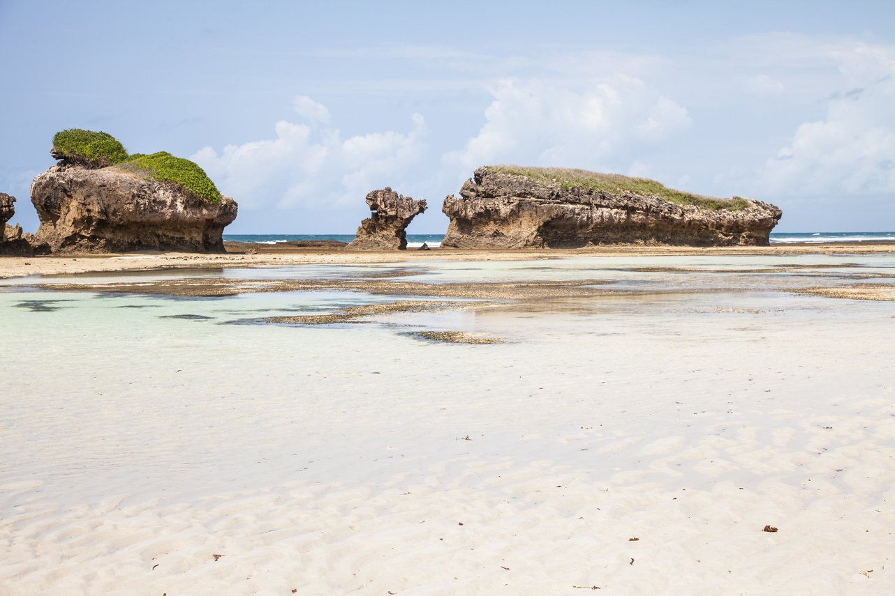 Malindi Beach