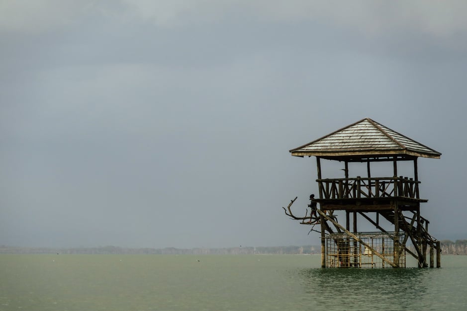 Wooden house in nature Scene at Lake Victoria in Kenya, Africa